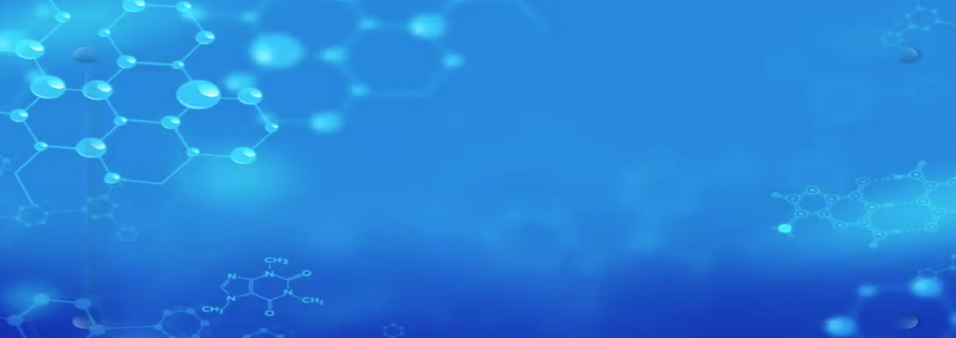 电子发票（加油站版)